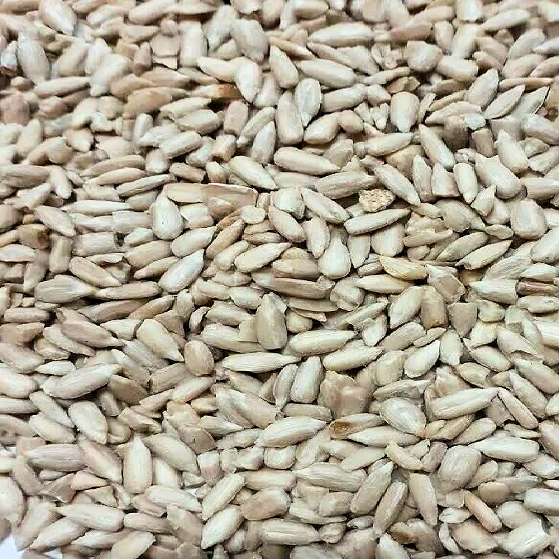 Close-up of sunflower seed hearts for wild birds.