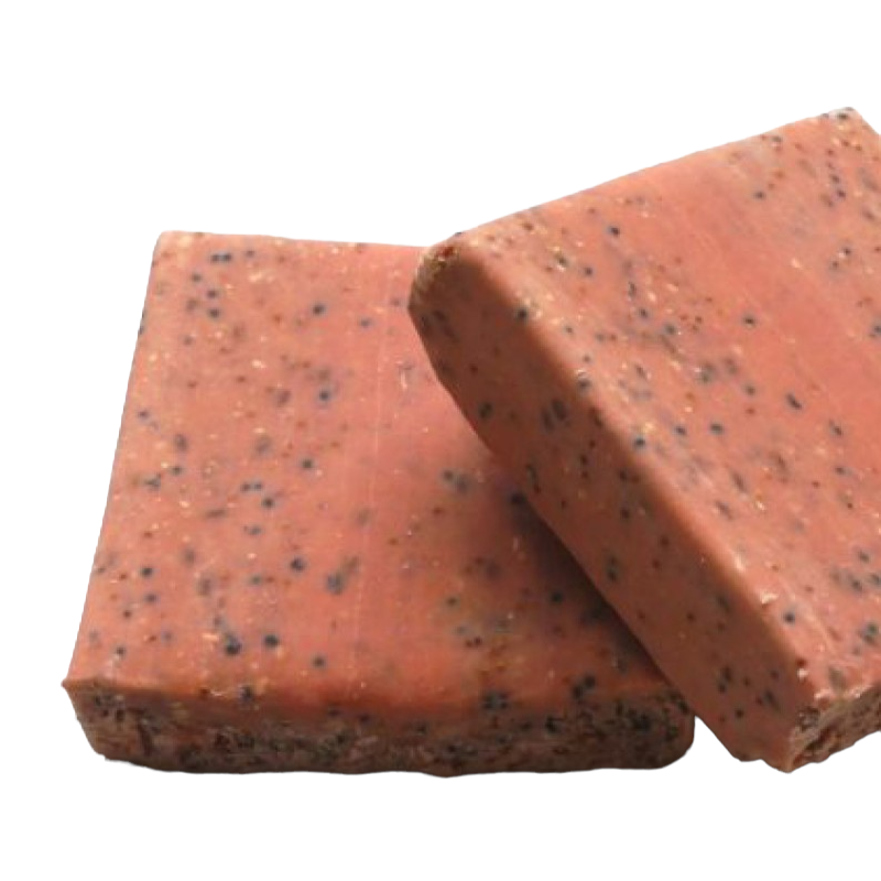 Two blocks of wild bird food suet cake with visible berry specks.