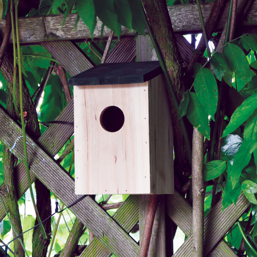 Wooden small bird nesting box mounted on a garden trellis surrounded by green leaves.