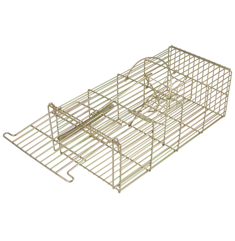 14 inch humane cage rat trap made of metal with a spring-loaded door mechanism.