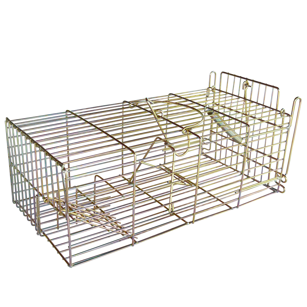 14 inch humane cage rat trap made of metal wire for rodent management.