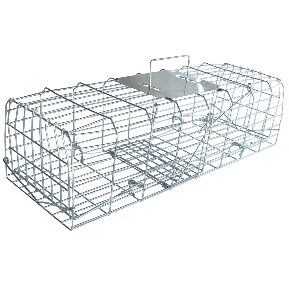 Metal squirrel cage trap with a handle and secure locking mechanism.