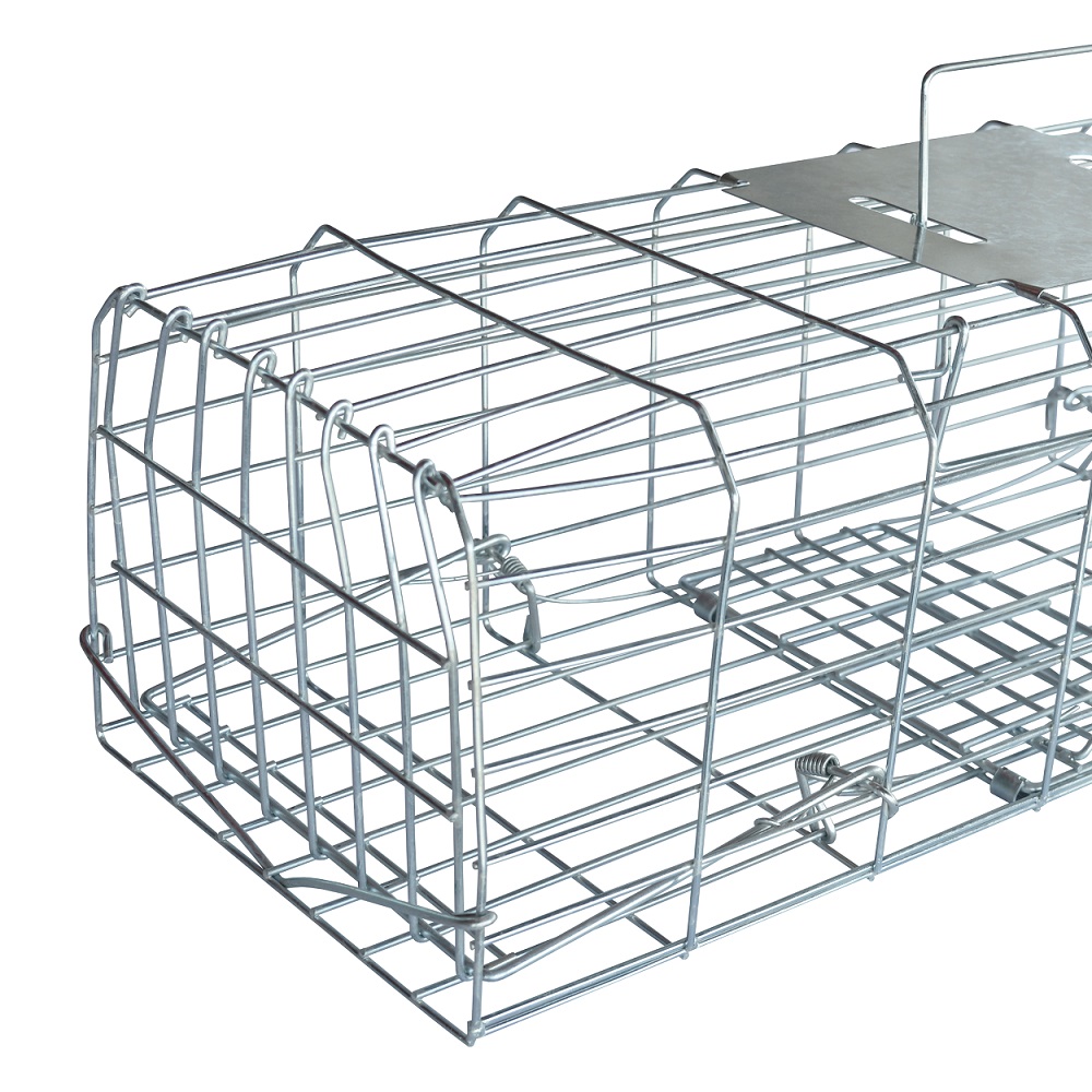 Close-up view of a 24 inch metal squirrel cage trap with a secure latch and handle.
