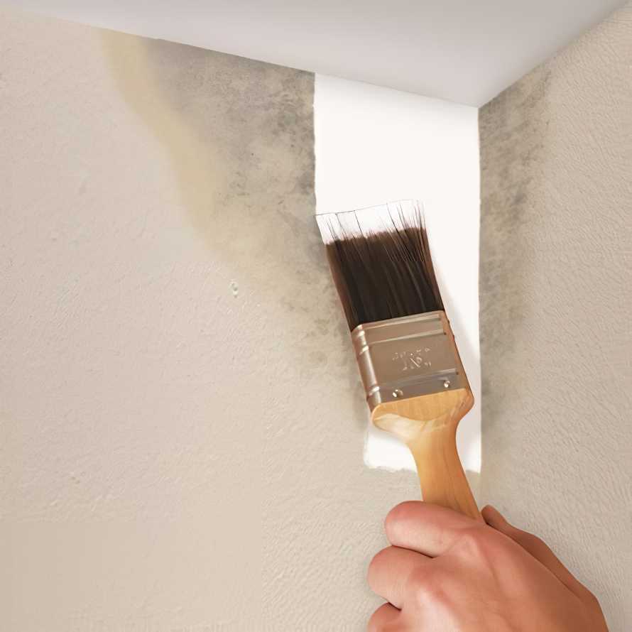 A hand painting over mould on a wall with white paint using a brush.