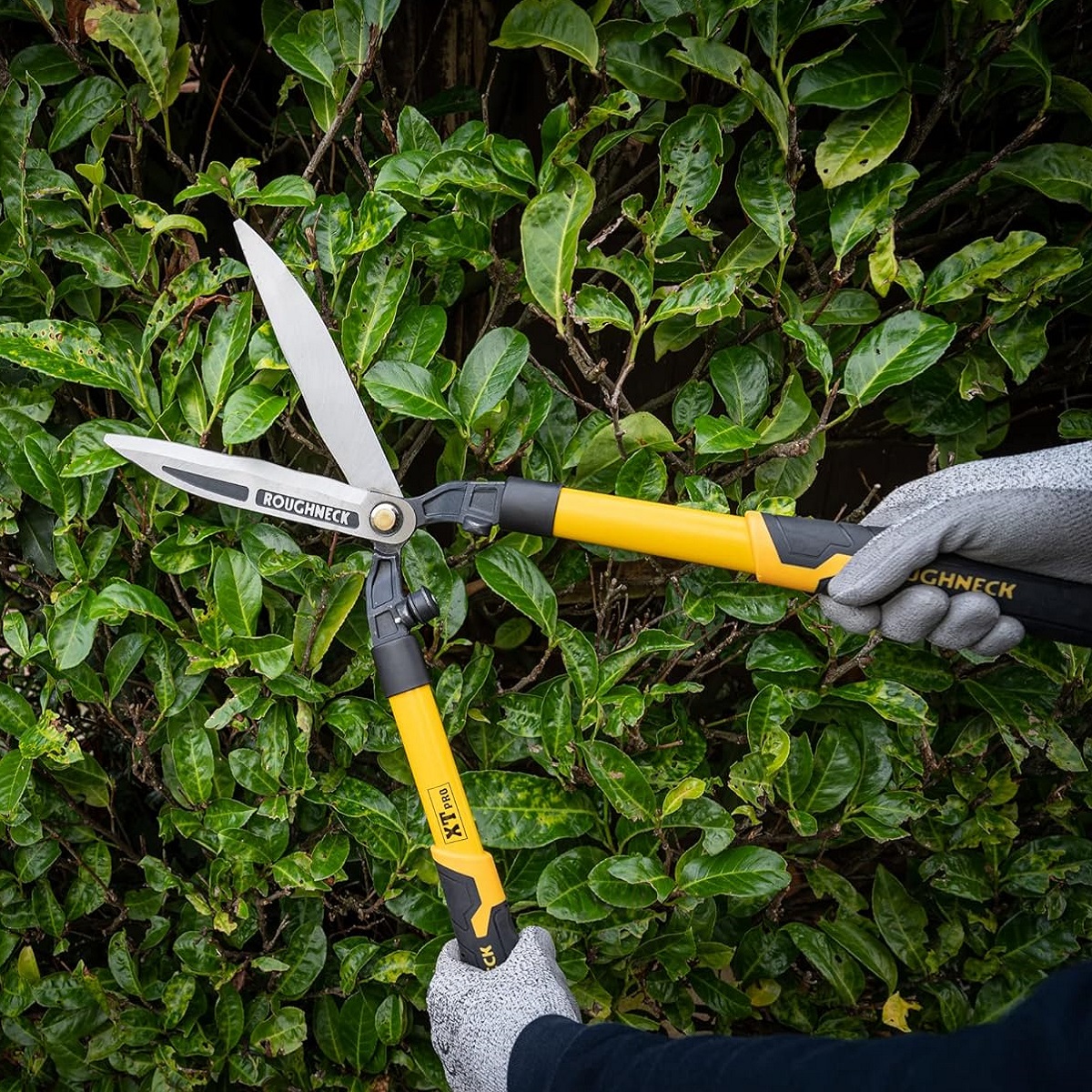 Person using Roughneck XT PRO Heavy Duty Wavy Blade Hedge and Grass Shears to trim green foliage.