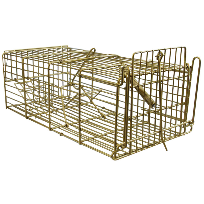 Metal wire rat trap cage with a spring mechanism for humane pest capture.