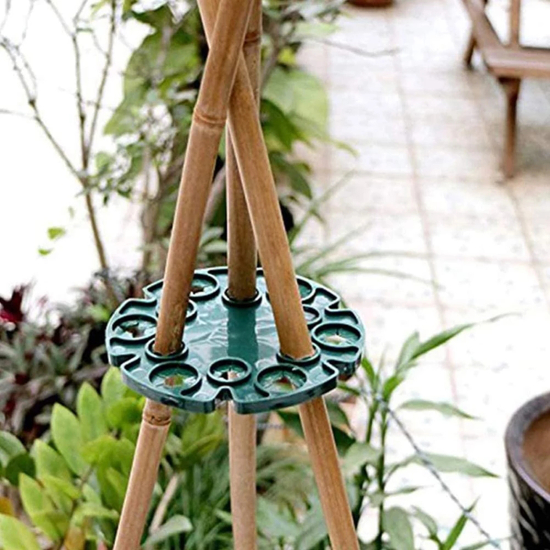 Green plastic cane holder supporting bamboo sticks for plant support in a garden setting.