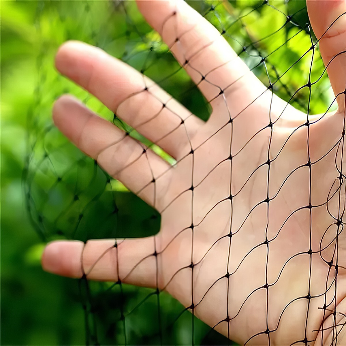 Close-up of a hand holding black garden netting against a green background.