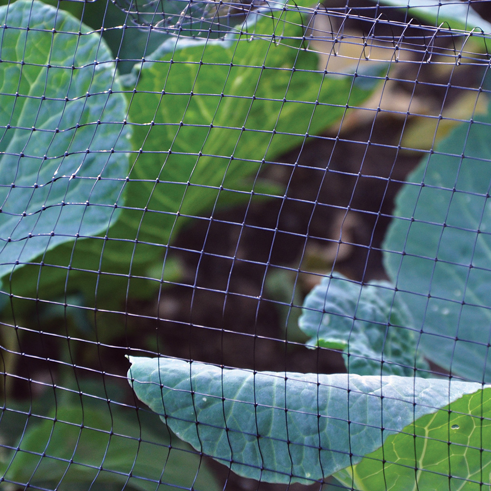 Close-up of garden netting over green leaves.
