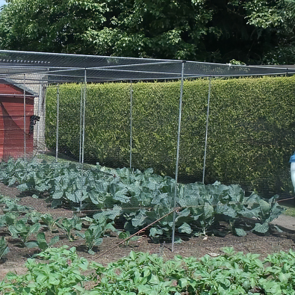 Garden with Shedmates netting covering plants and pond for protection.