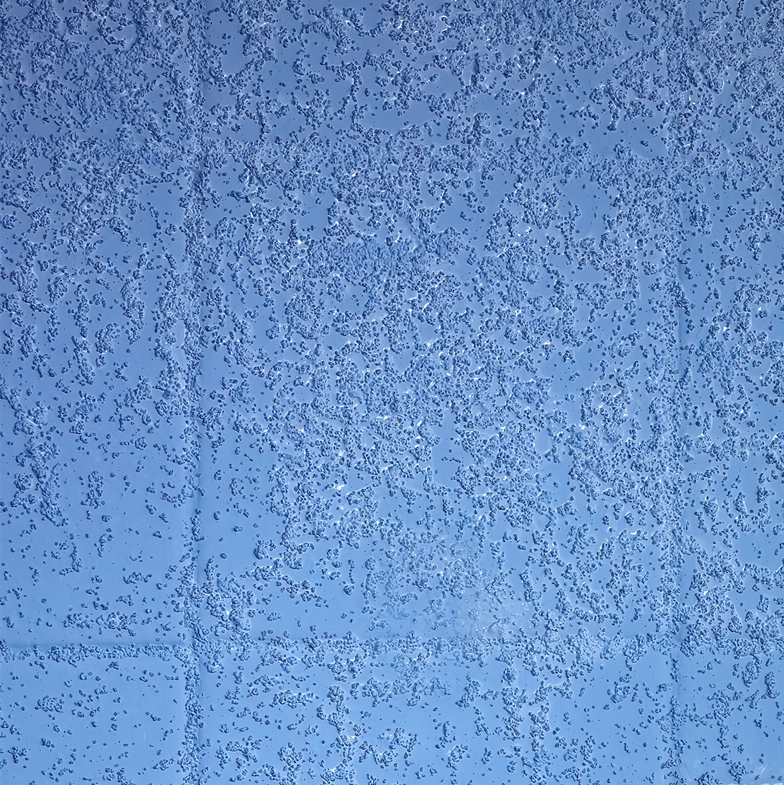 sika-feb-blue-grit-plasterers-grip-prep-key-coat-bonding-agent-5-litre-10-litre-4-ceramic-tiles-fully-coated