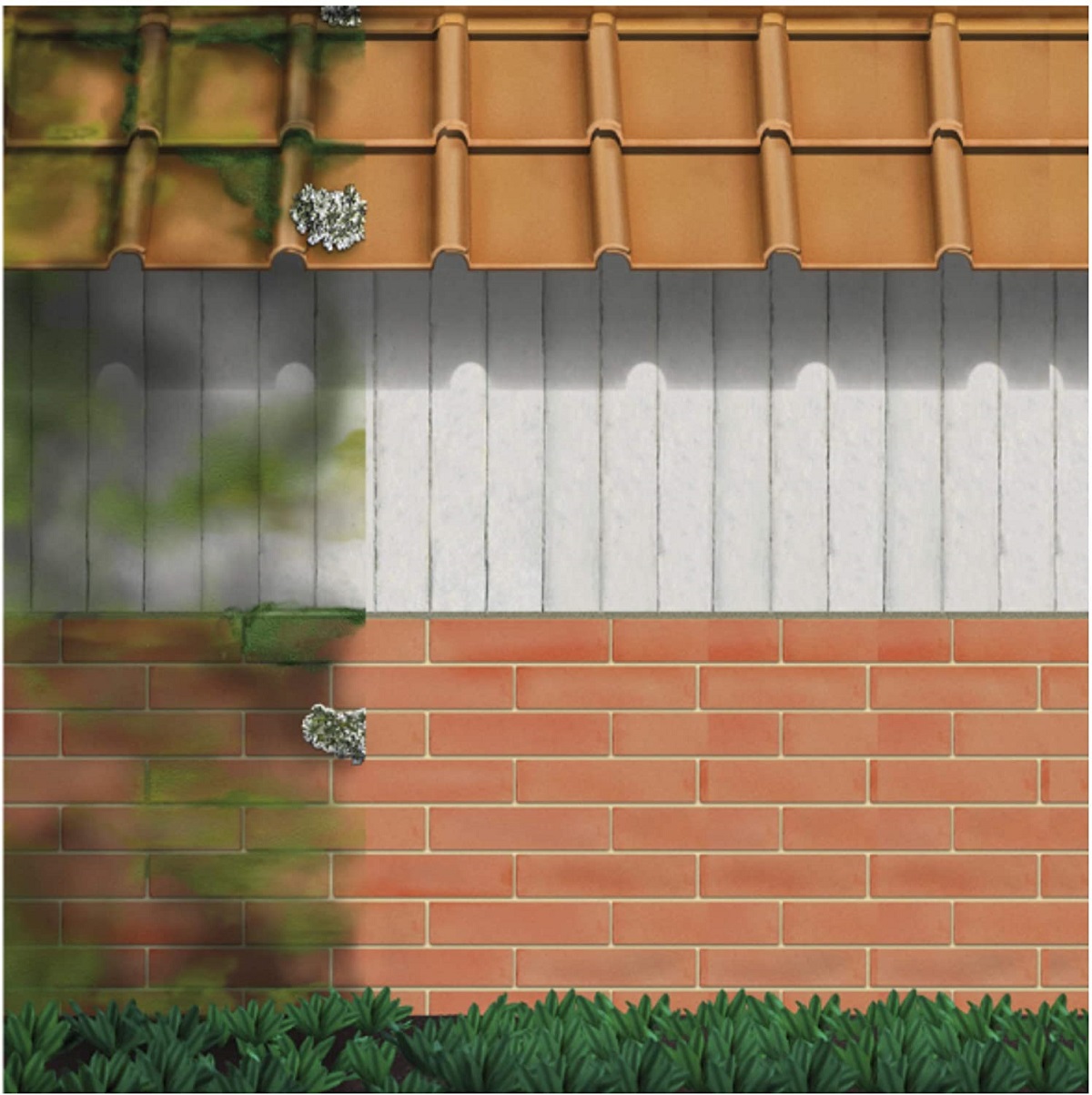 Illustration showing a roof and wall with moss, algae, and mould on one side and clean on the other.