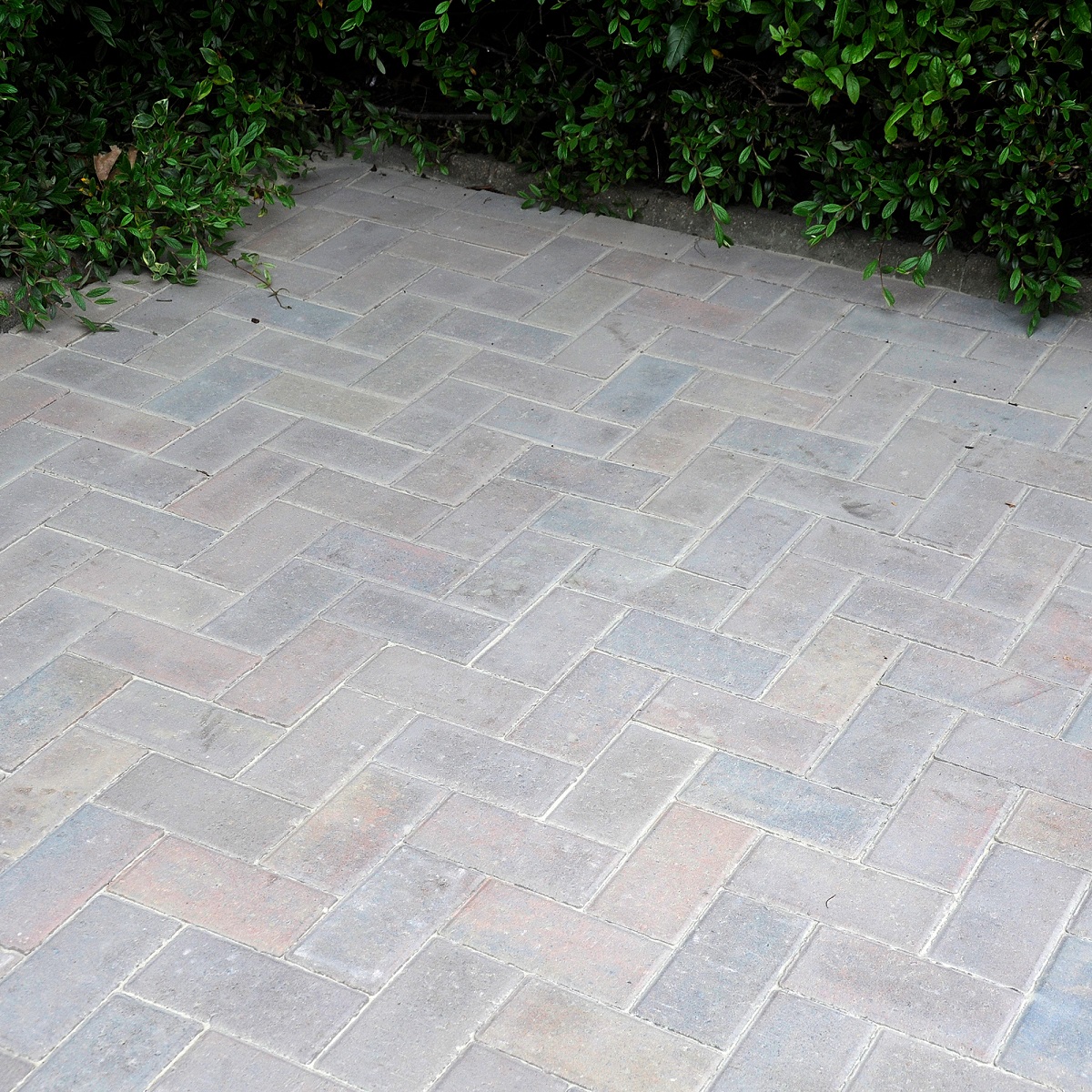 Close-up of block paving with narrow joints filled with buff sand, surrounded by green foliage.