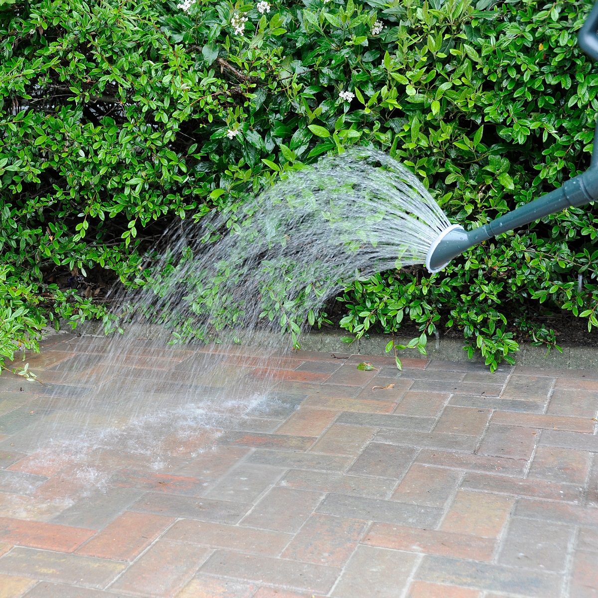 Water being applied to block paving with narrow joints.