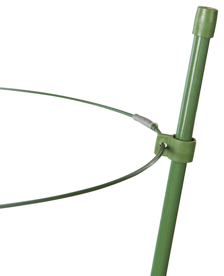 Green 3-ring garden plant support standing upright with three circular rings for plant stability ring closeup