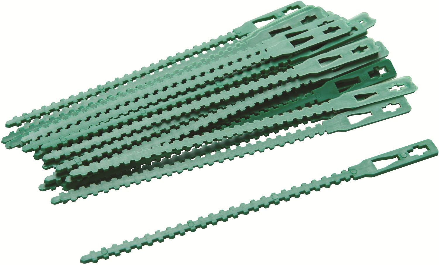 Close-up of a green adjustable plant tie securing a plant to a bamboo stake in a garden setting pack of 30