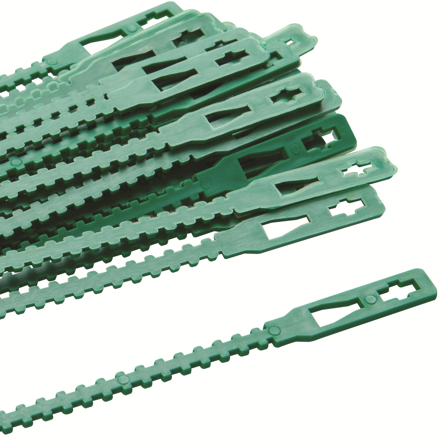 Close-up of a green adjustable plant tie securing a plant to plant supports