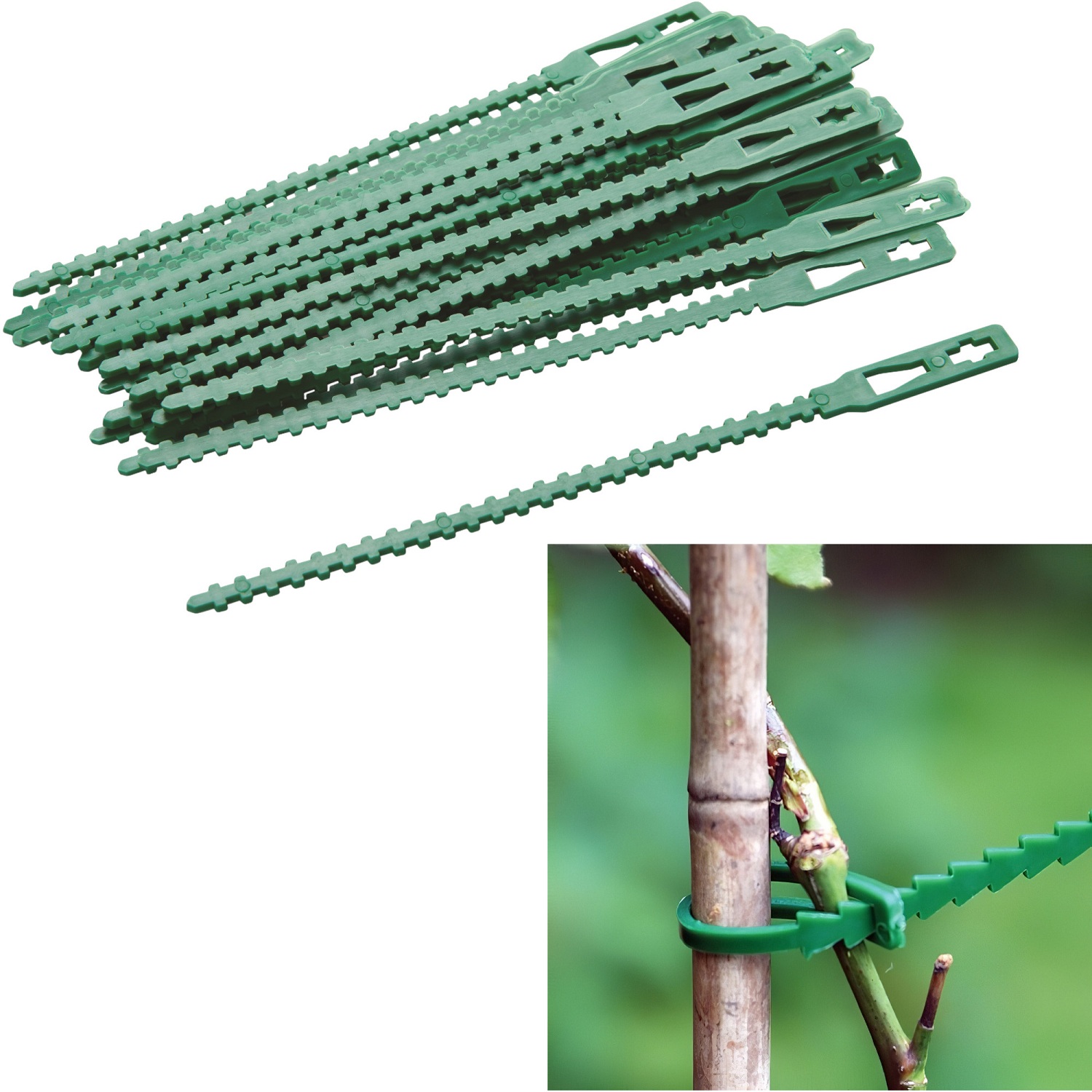 Close-up of a green adjustable plant tie securing a plant to a bamboo stake in a garden setting.