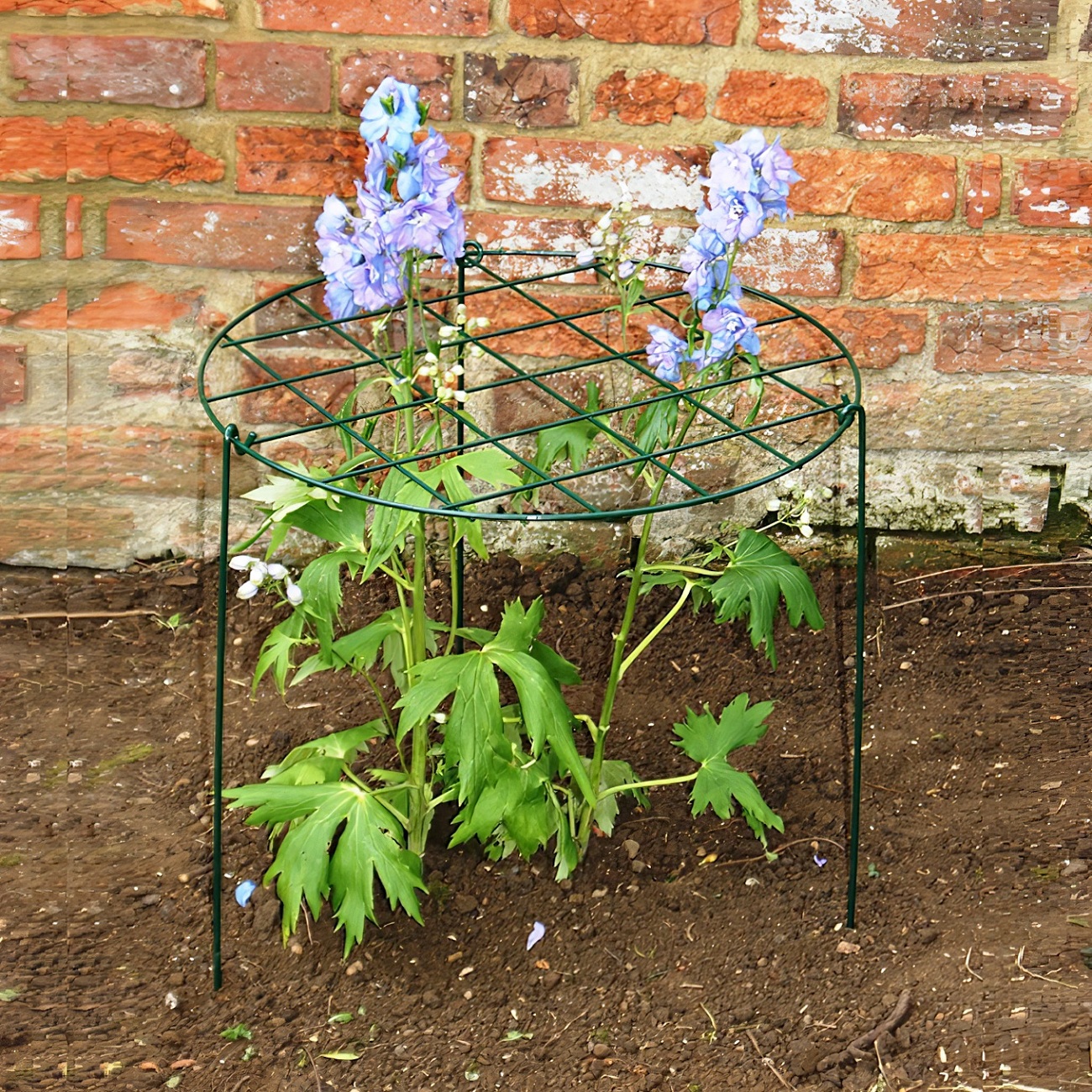 Silverline Plat Grow Through Support flower bed