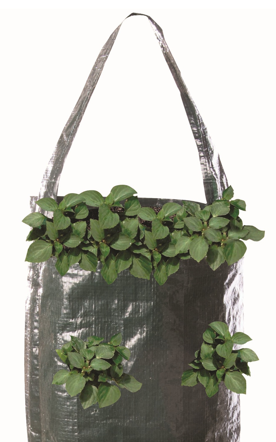 Vertical garden with colourful flowers growing in hanging tube bags. closeup