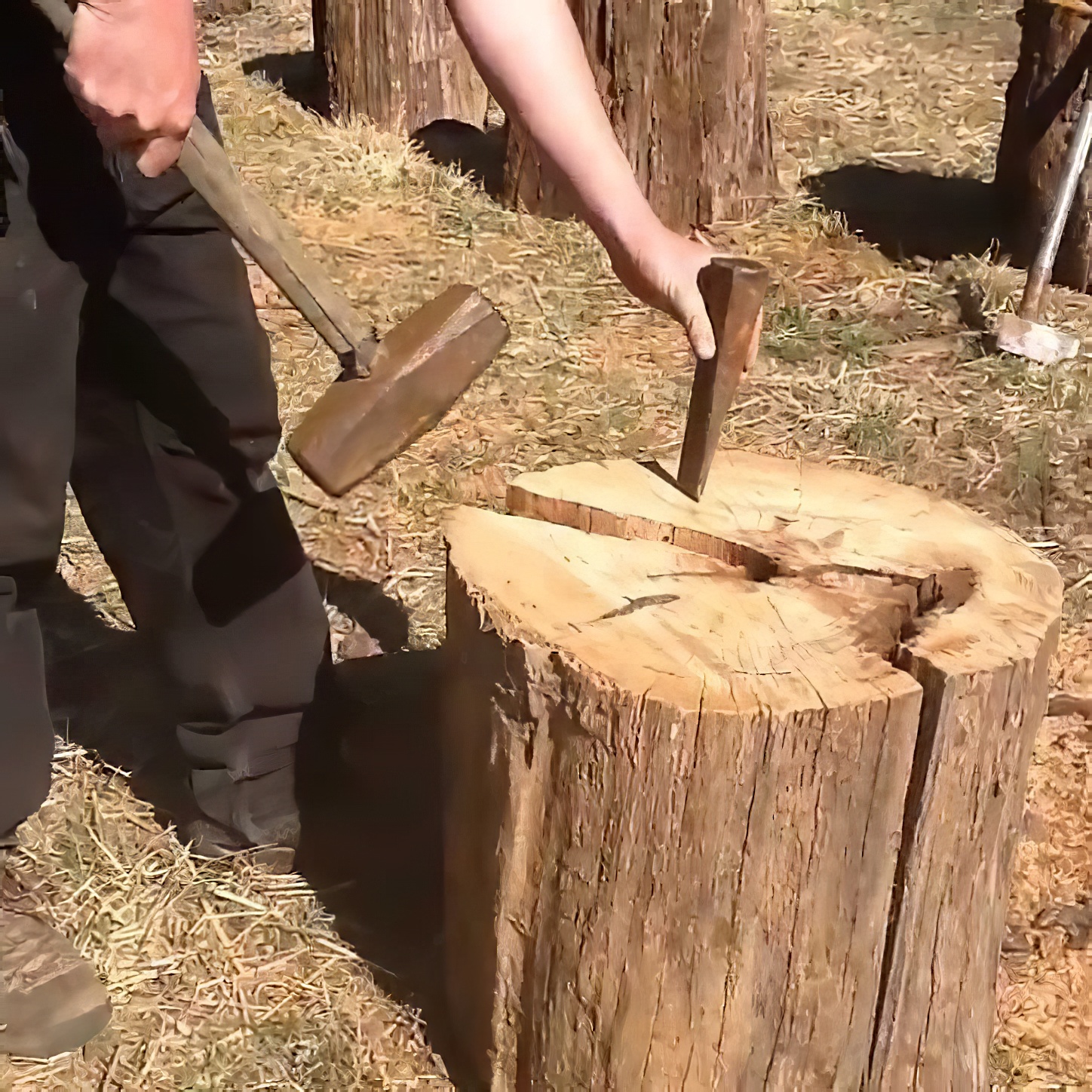 silverline 868729 demo Blue heavy-duty log splitting wedge with sharp edge and drop-forged steel construction.