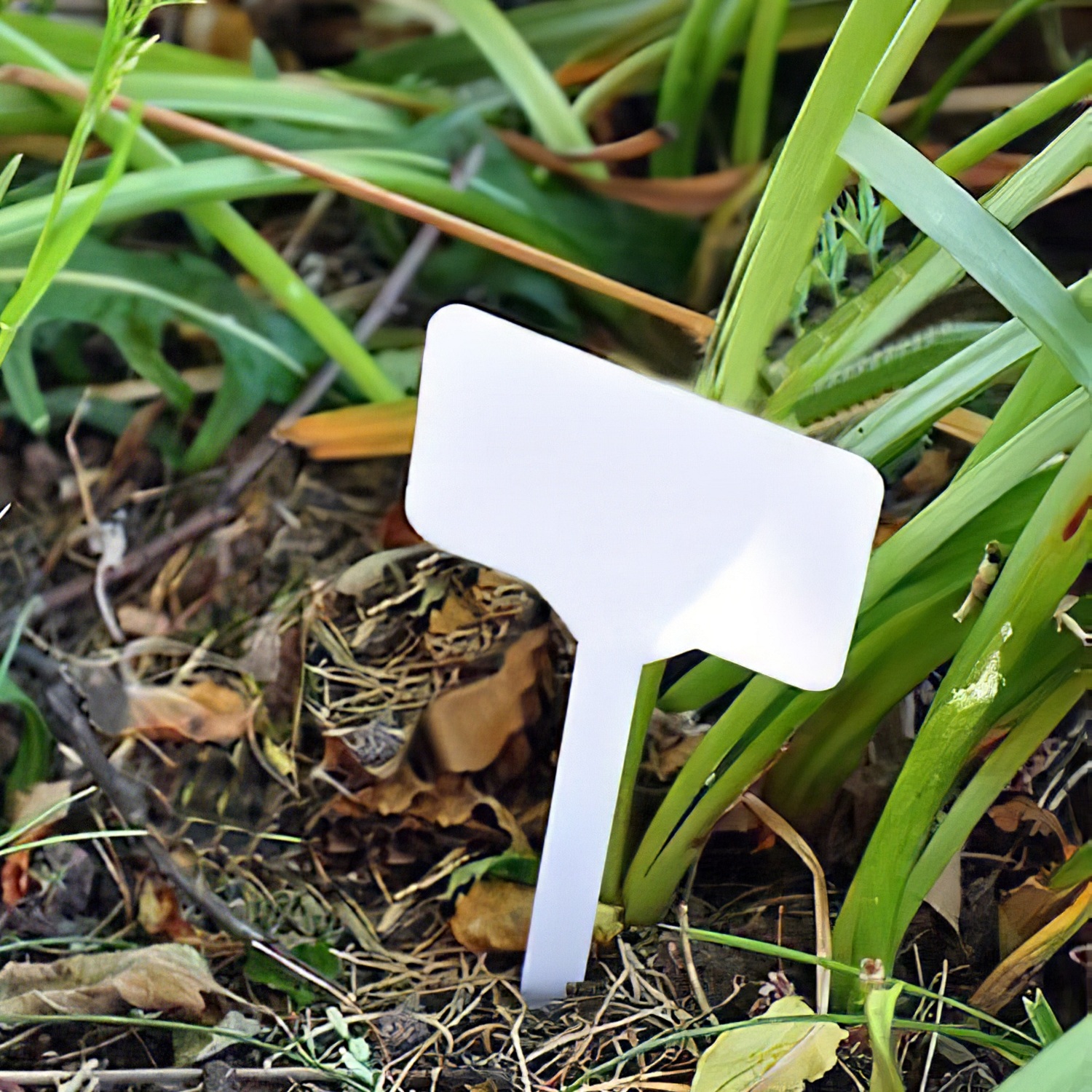 plastic plant garden border or pot marker in use