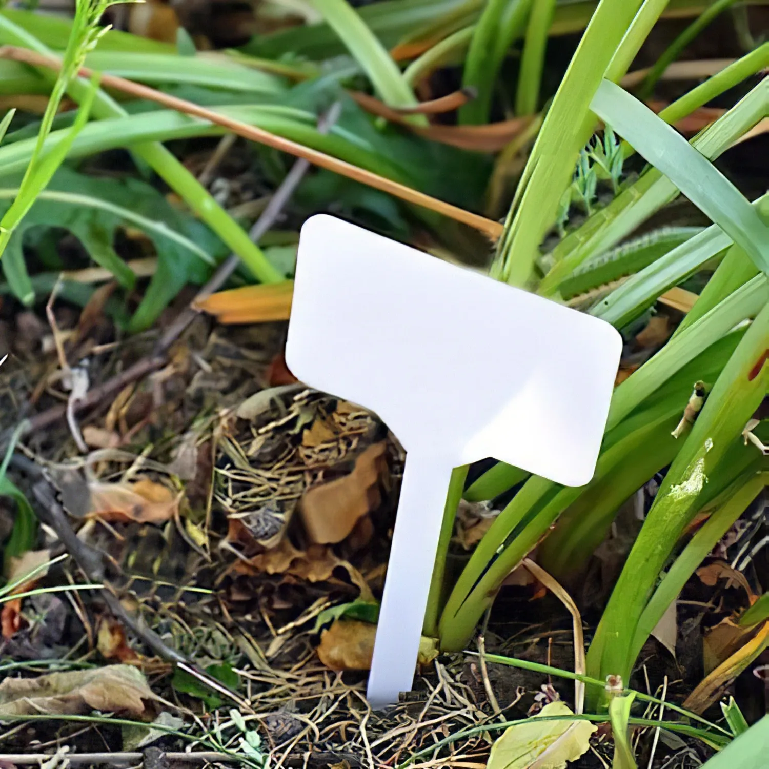 Silverline Plant Border Identification Markers 16 Tag Pack 552517 Path and Patio Silverline Plant Border Identification Markers Tags – 16 Pack 150mm (552517)