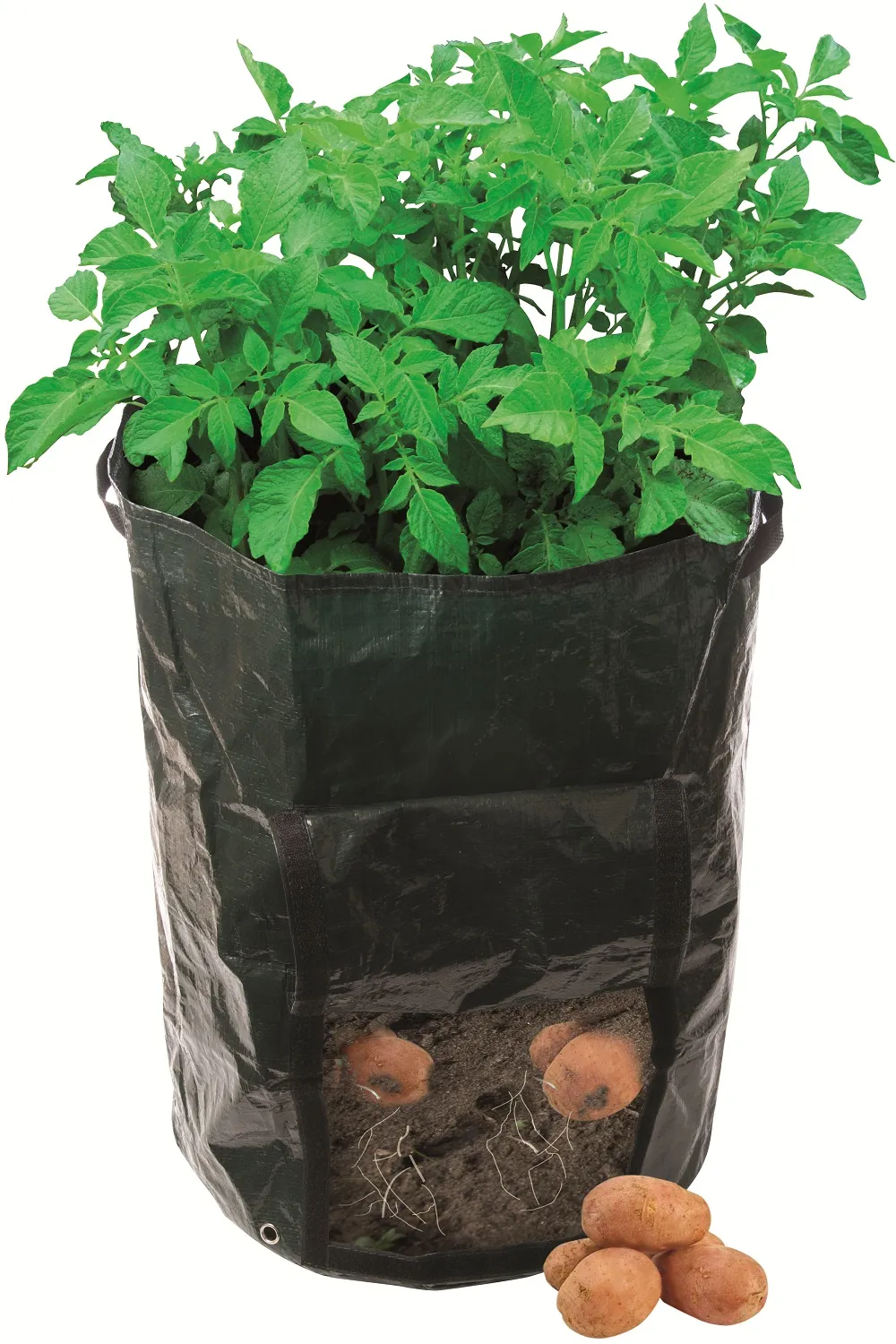 Silverline Potato Planting and Growing Bag for High Yield Gardening (261137)