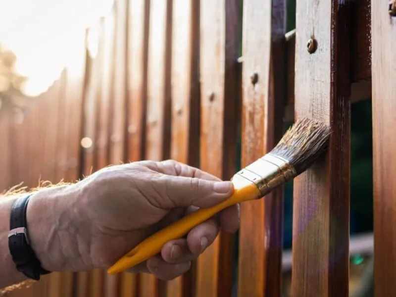 Applying fresh paint to a garden fence Person painting a wooden fence with a brush