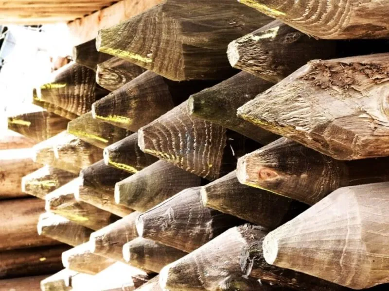Piled timber posts with sharp tips Stacked wooden fence posts with pointed ends in a timber yard