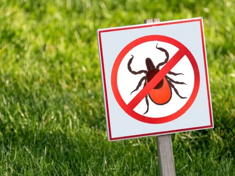 Warning sign against ticks on grassy area Sign with a tick crossed out on grass background