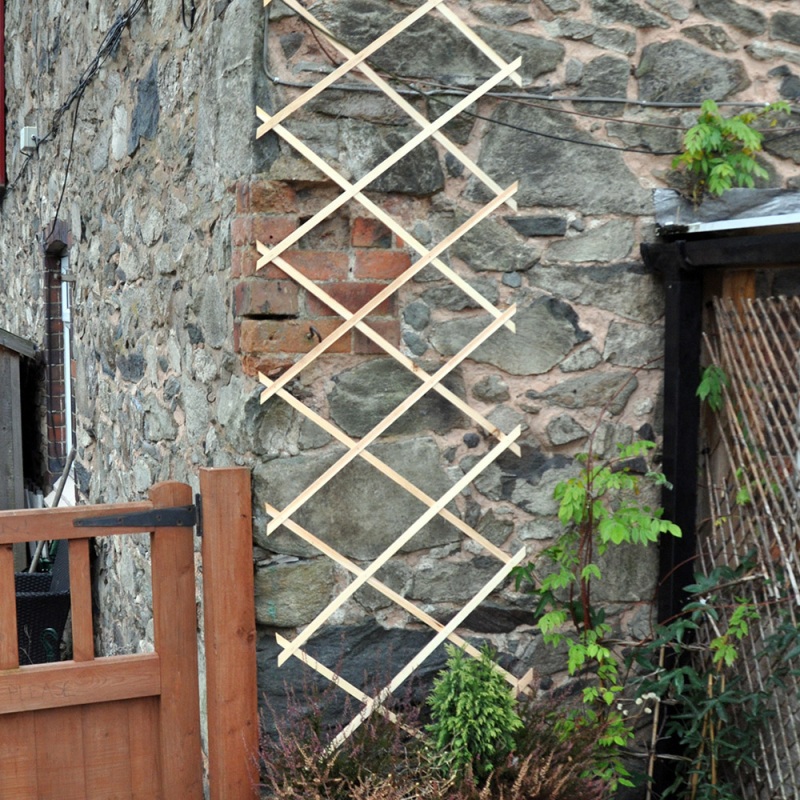 green-blade-garden-plant-expanding-wooden-trellis-natural-red-green-954004-1
