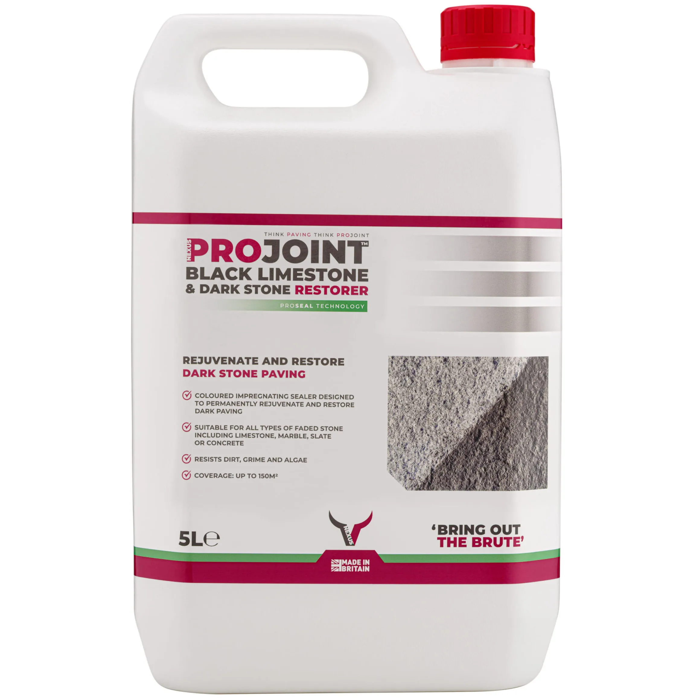 ProJoint Black Limestone & Dark Stone Restorer and Sealer – 5 Litre (BLR5)