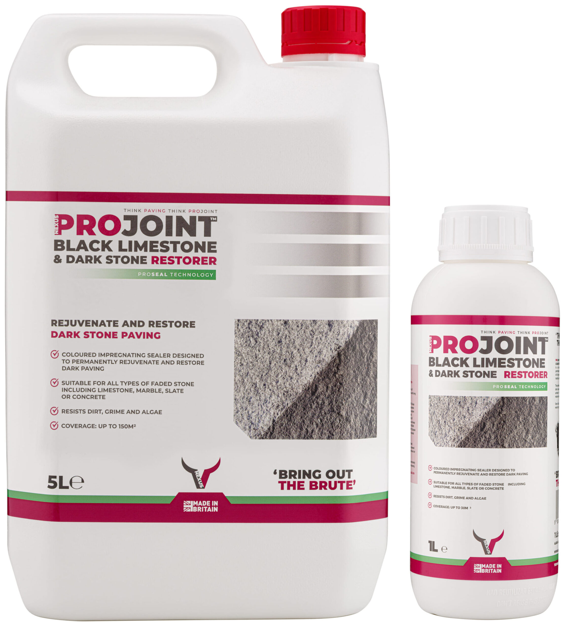 ProJoint Black Limestone & Dark Stone Restorer and Sealer - 1 & 5 Litre Grouped