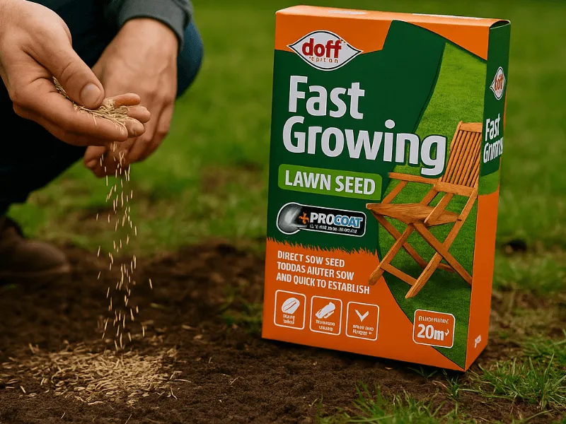 Lawn Grass Seed - The Perfect Garden Lawn