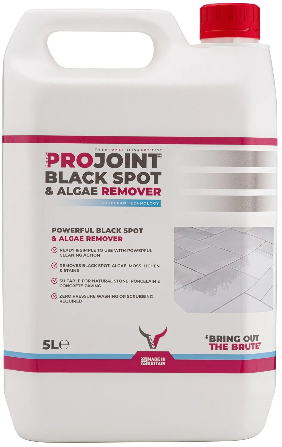 ProJoint Black Spot & Algae Remover – 5 Litre (BSAR5)