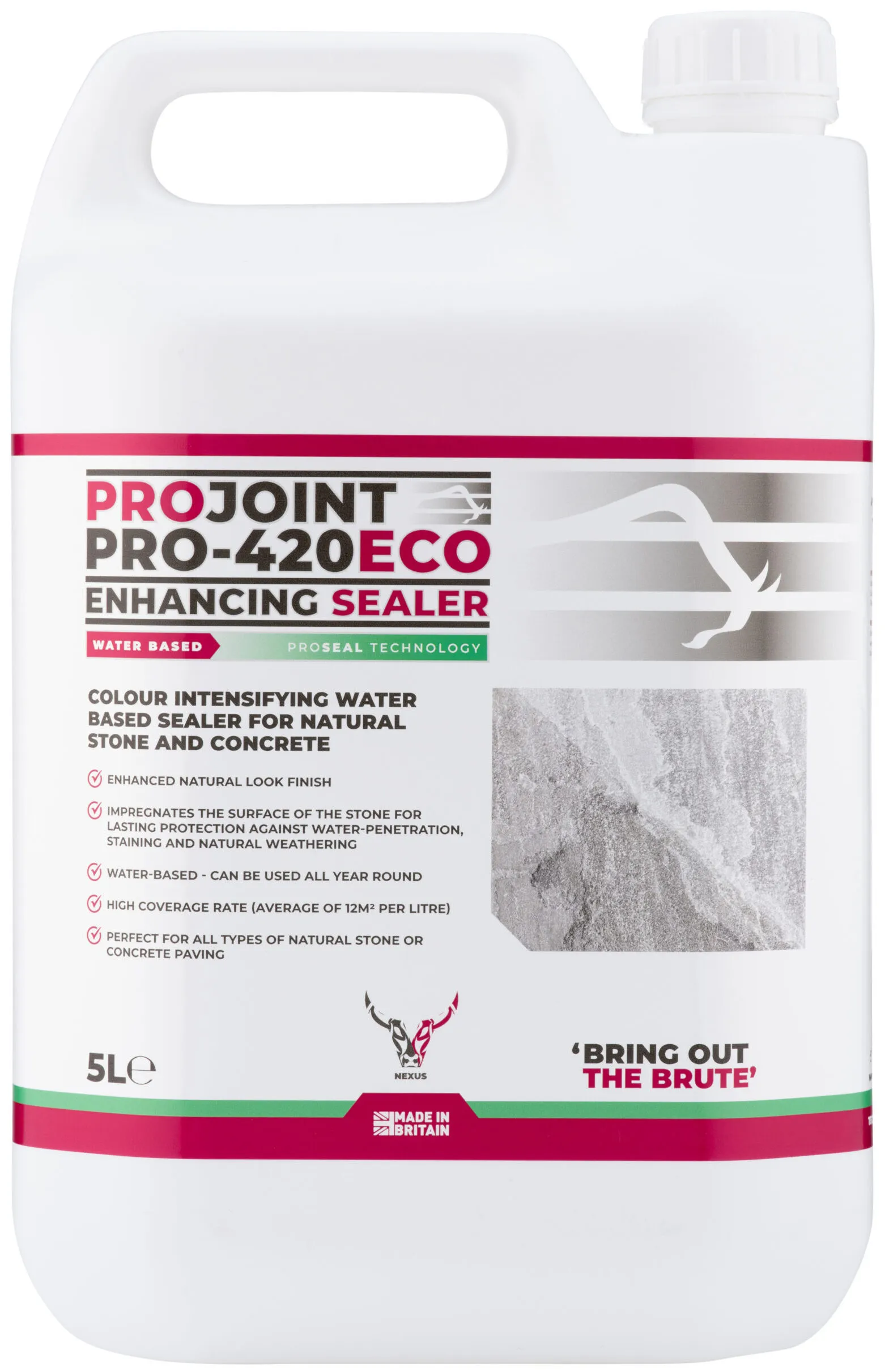 ProJoint PRO-420 ECO Enhancing Sealer – 5 Litre (PRO4205)