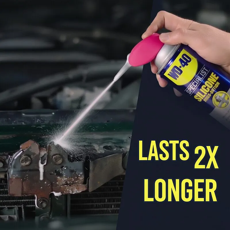 Silicone Protection Applied to a Metal Hinge Silicone Protection Applied to a Metal Hinge
