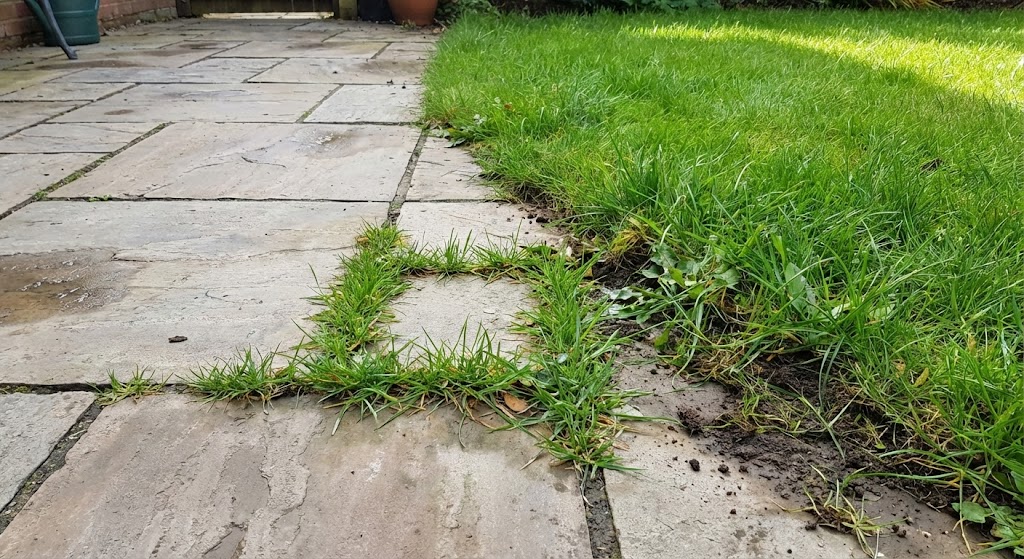 Grass spreading from lawn into patio joints where edging is not contained