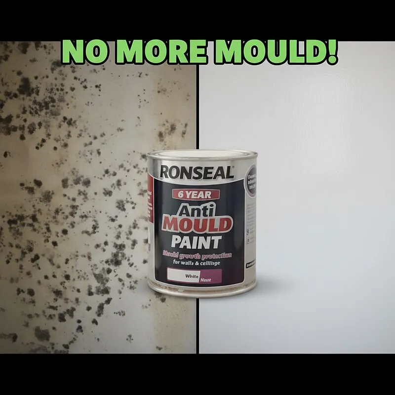How To Treat and Prevent Mould on Walls and Ceilings How To Treat and Prevent Mould on Walls and Ceilings