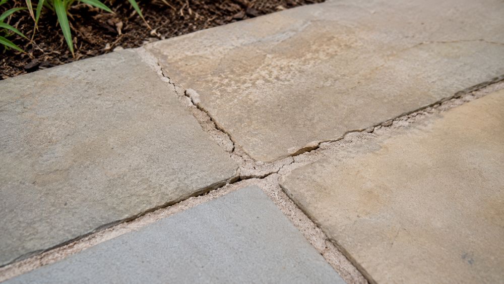 Cracked paving jointing compound between patio slabs showing early joint failure