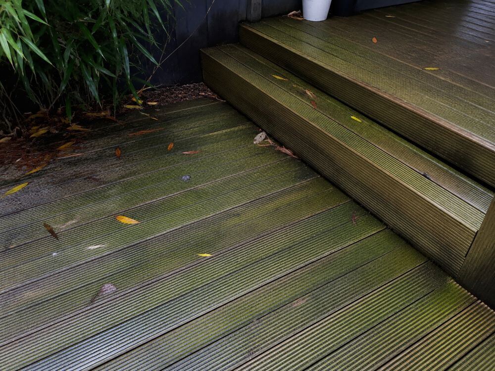 Green algae on shaded timber decking creating a slip risk